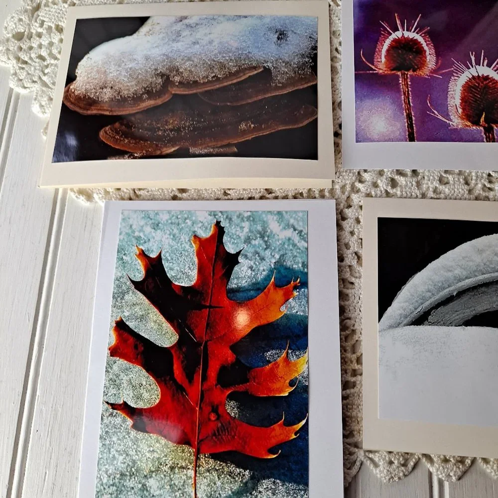 10 Original Photographs All Occasion Greeting Cards